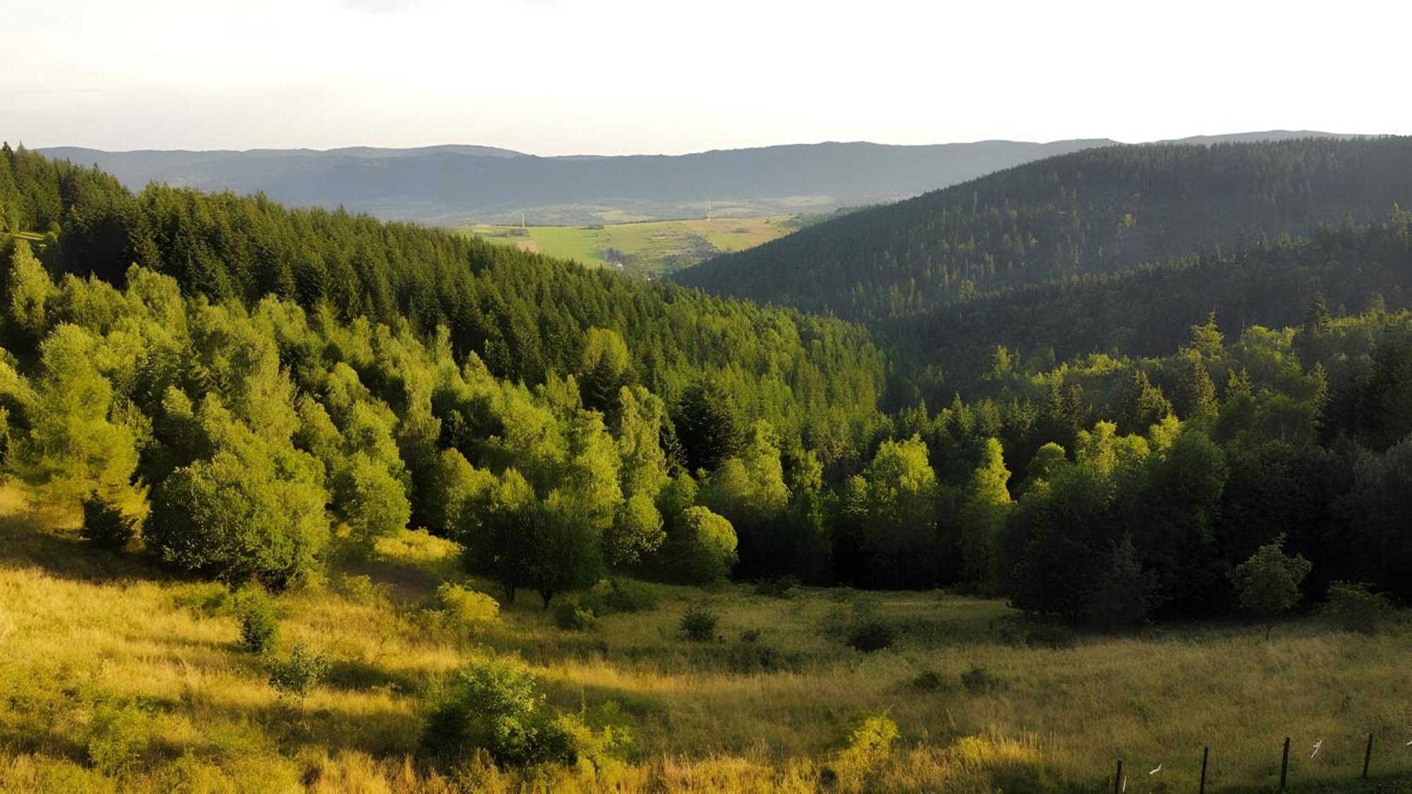 Przystanek Madejowa Villa Jeleśnia Kültér fotó